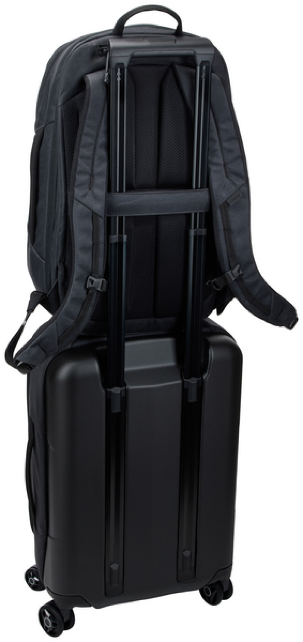 Thule Aion Travel Backpack 28L. Svart